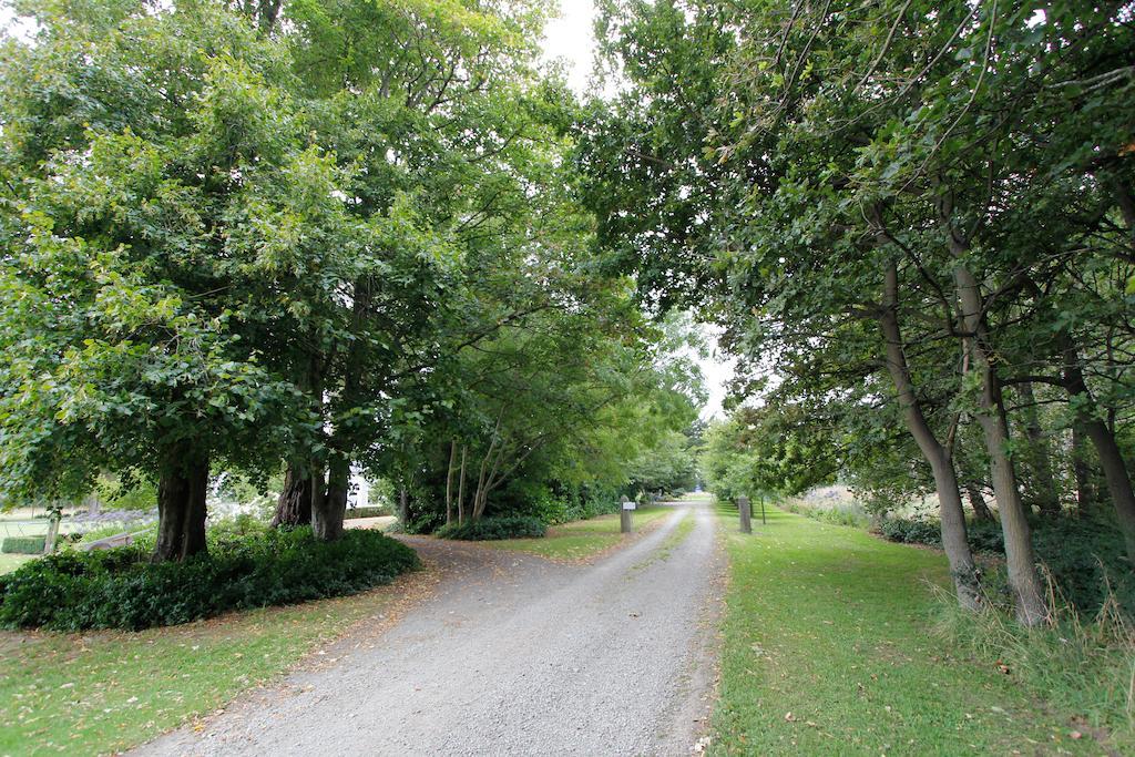 Revive On Oakview Boutique Beauty And Accommodation Ashburton Eksteriør bilde