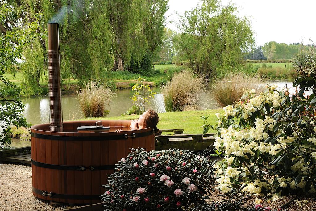 Revive On Oakview Boutique Beauty And Accommodation Ashburton Rom bilde