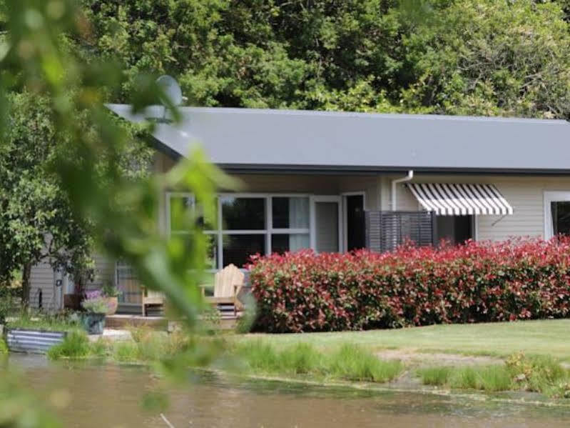 Revive On Oakview Boutique Beauty And Accommodation Ashburton Eksteriør bilde